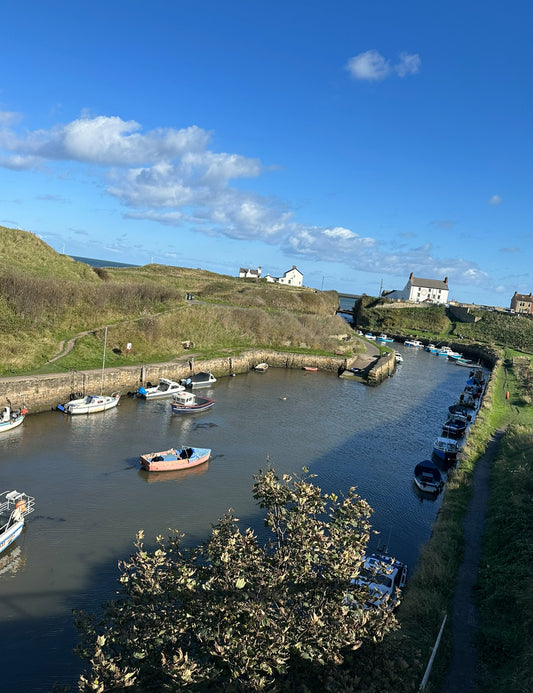 The Harbour Village of Seaton Sluice