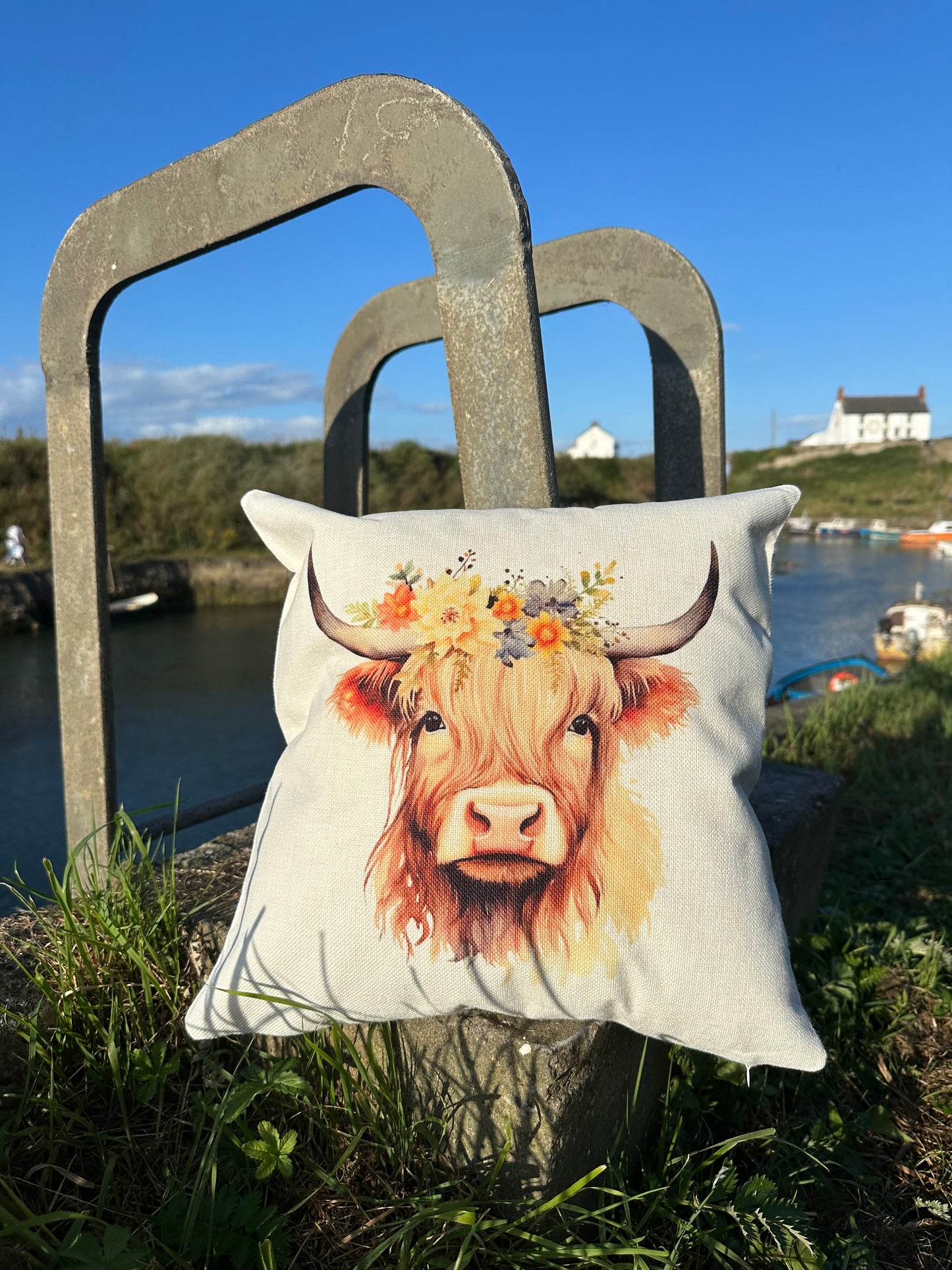 Druridge Bay Highland Cow Cushion