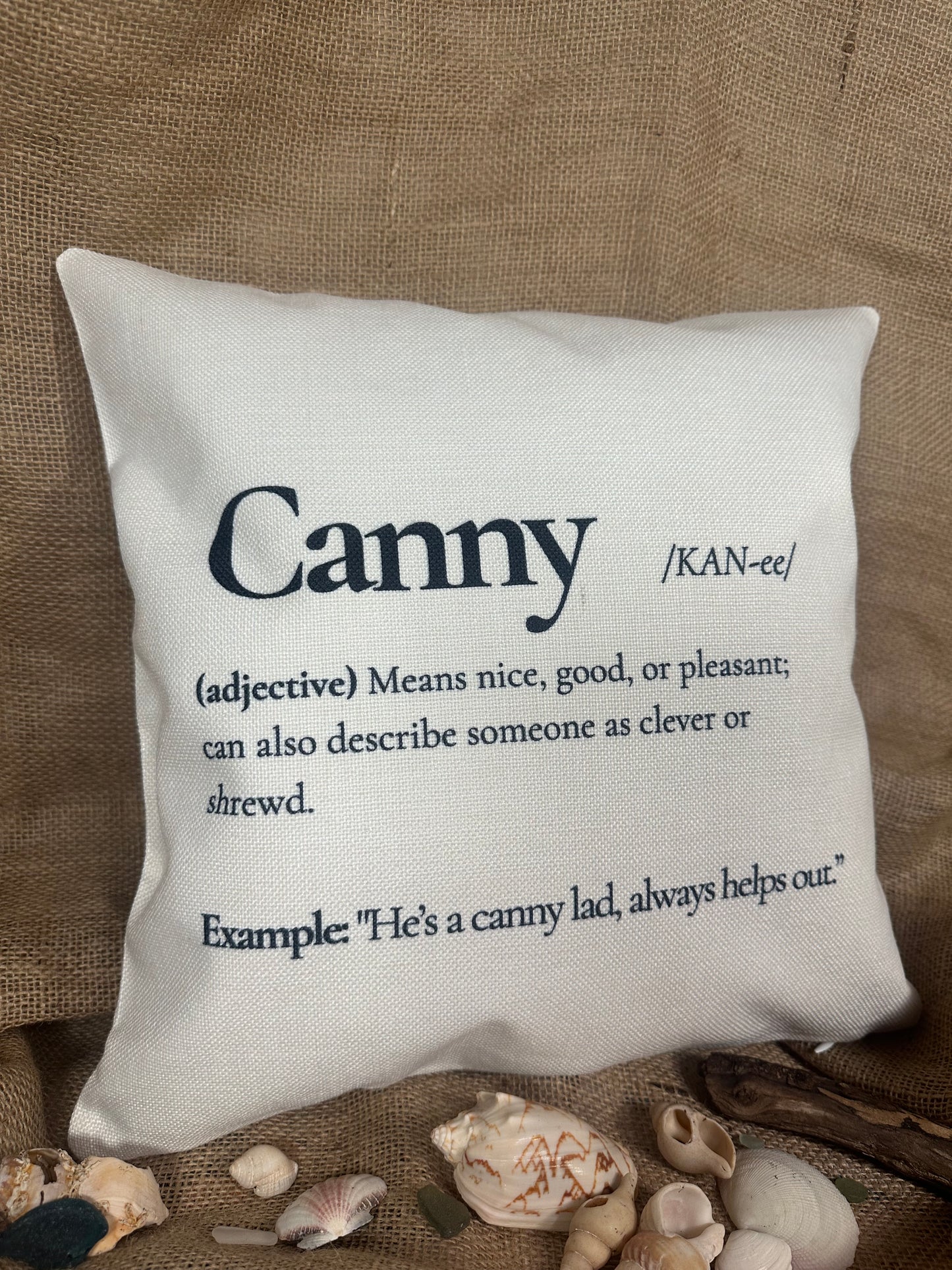 Canny Colloquial Cushion