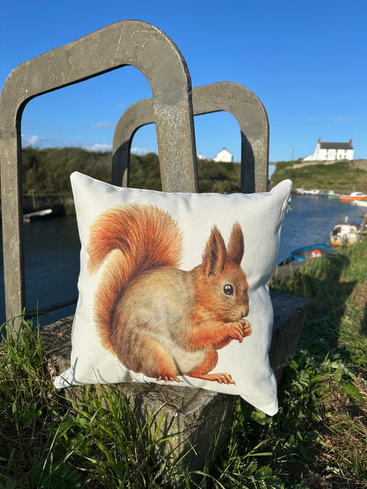 Red Squirrel Country Canvas Cushion